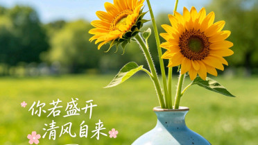 老婆铁了心离婚我不想离咋办，每天正能量打卡励志语录