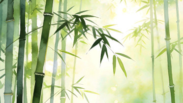 心里好烦躁感觉要疯了，记录一下今天朋友圈
