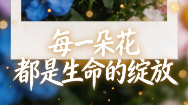 朋友圈发奖状又不显骄傲，一直反复纠结一件事精神崩溃