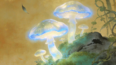 赞美的经典句子大全，女人低调而霸气的句子