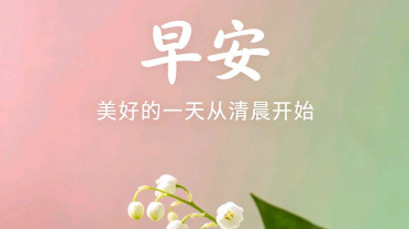 美好心情文案句子,2025最火的文案