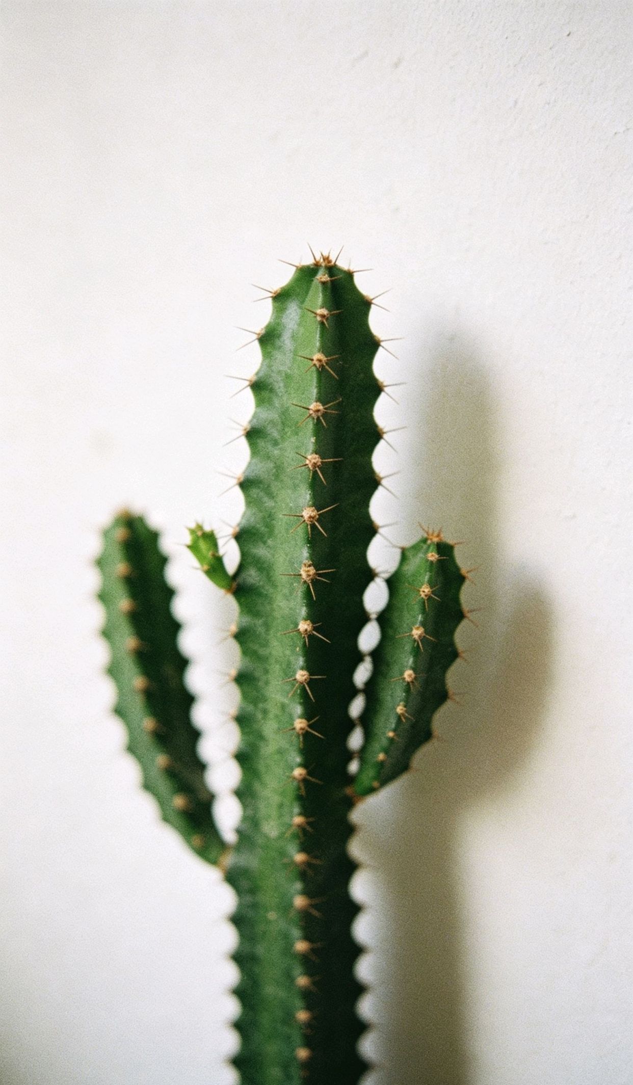 100句顶级绝美句子,一眼入心的唯美句子